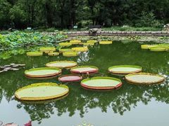 -国家植物园南园