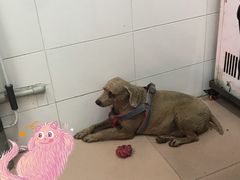 -熊仔屋(吉祥苑小区店)