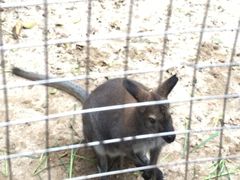 -广东茂名森林公园
