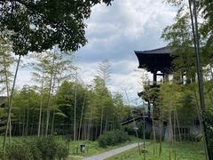 -大唐贡茶院