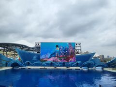 -上海海昌海洋公园
