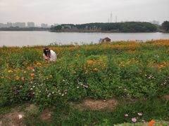 -海珠湖公园