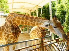 -泉州海丝野生动物世界