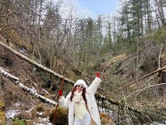 -峡谷浮石林景区