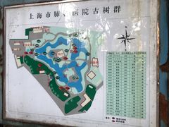 -叶家花园
