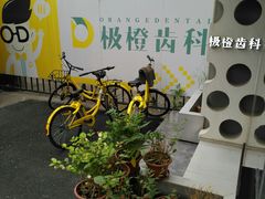 -极橙儿童齿科矫正中心(奥城店)