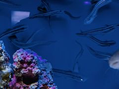 -上海海洋水族馆