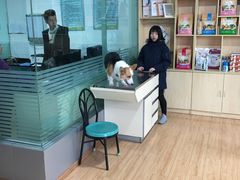 -瑞派宠物医院(锦江店)