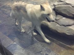 -梦幻海洋王国(吾悦广场张家港店)