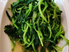 -金蝉食府(维吉奥广场店)