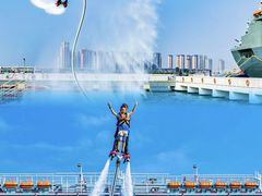 -泰达航母主题公园