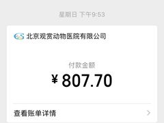 -北京观赏动物医院·24小时大型综合·猫专科·异宠专科