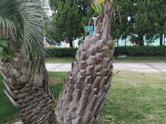 -上海儿童博物馆