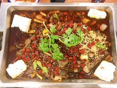 -鱼乐乐(Happy Fish)