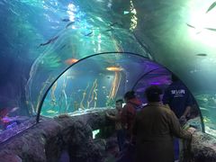 -沈阳海洋探索中心