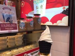 豆乳冰淇淋-仙境豆夫(步行街旗舰店)