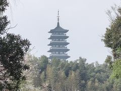 -宜兴龙背山森林公园