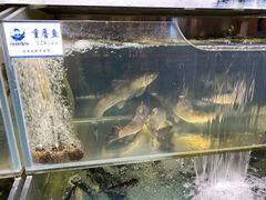 -胖姐渔村(中源大道店)