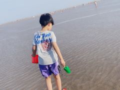 -奉贤海滩
