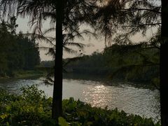 -艾溪湖湿地公园