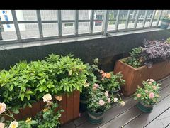 -上海仁瑞护理院·医养康复·临终关怀