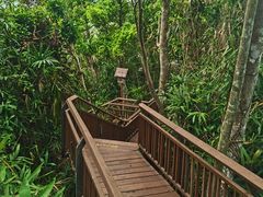 -三亚亚龙湾人间天堂鸟巢度假村