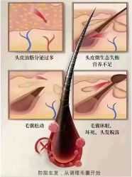 -木北造型