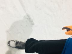 -绍兴启迪乔波冰雪世界