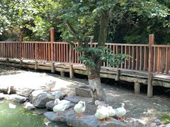 -云丘山景区