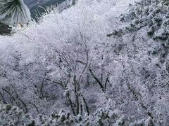 -亚布力新体委滑雪场