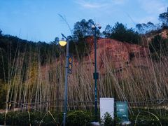 -神光山国家森林公园