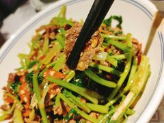 香菜炒牛肉-壹盏灯(蚂蚁工房店)