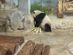 -海南热带野生动植物园