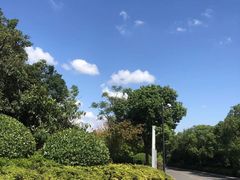 -上海崇明金茂凯悦酒店