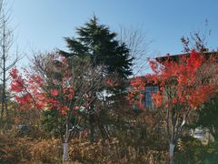 -大连金石滩绿发温泉假日酒店