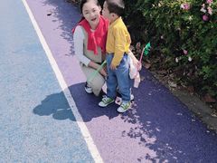 -贡湖湾湿地公园