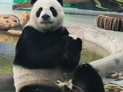 -柳州市动物园