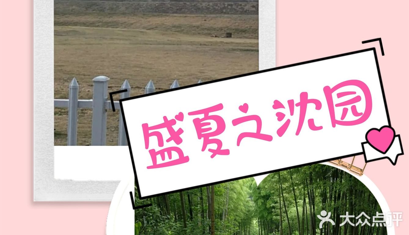 夏日遛娃,不一样的沈园户外运动营地,有团购。