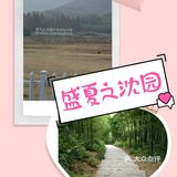 夏日遛娃,不一样的沈园户外运动营地,有团购。