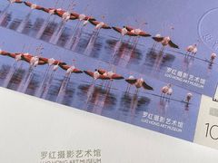 -罗红摄影艺术馆