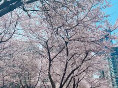 -西北湖绿化广场