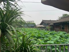 -莫催咖啡