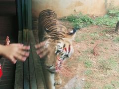 -昆明动物园