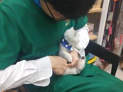 -瑞鹏宠物医院·猫科·宠保定点(梅溪湖分院)