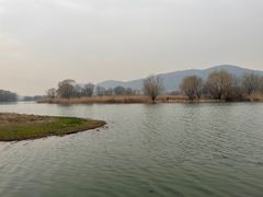 -长广溪湿地公园