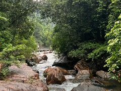 -广州白江湖森林公园