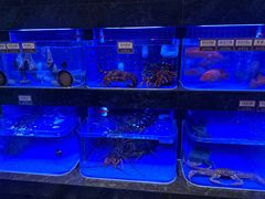 -協成海鮮火鍋(老店)