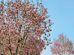 -重庆中央公园(渝北区)