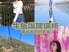 -牛鱼嘴原始生态风景区