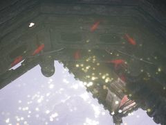 -武当山风景区